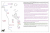 coo1e34 endeavour reef 1_thumb.gif